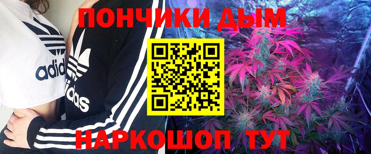 Бошки Шишки планчик Великий Новгород